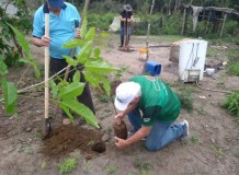 CO2 do Concílio é compensado com plantio de árvores