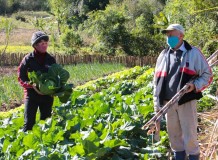 Campanha Cesta Consciente doa produtos da agricultura familiar e agroecológica e da economia solidária a famílias afetadas pela pandemia