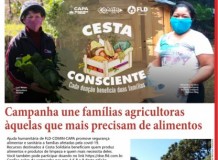 O Recado da Terra. Número 50, primavera de 2020 - Campanha une famílias agricultoras àquelas que mais precisam de alimentos