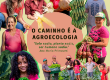 Agroecologia é o Caminho