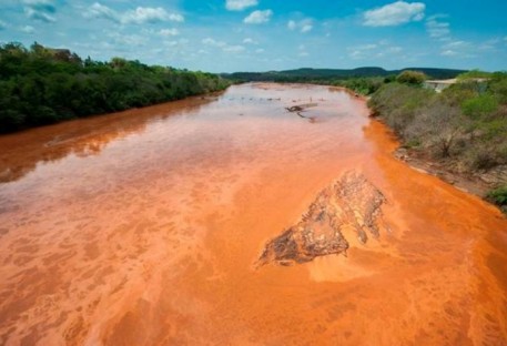 Mar de Lama: O Ecossistema do Rio Doce Pede Socorro