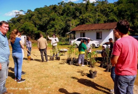 Comunidades Guarani e luterana realizam plantio de árvores nativas em Santa Catarina