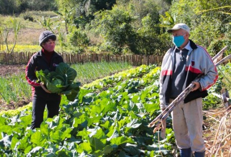 Campanha Cesta Consciente doa produtos da agricultura familiar e agroecológica e da economia solidária a famílias afetadas pela pandemia