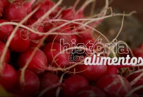 A história dos alimentos